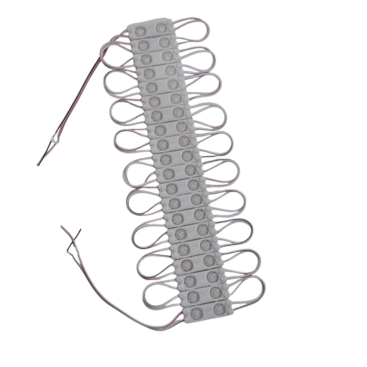 photo_2025-10-08_17-01-31