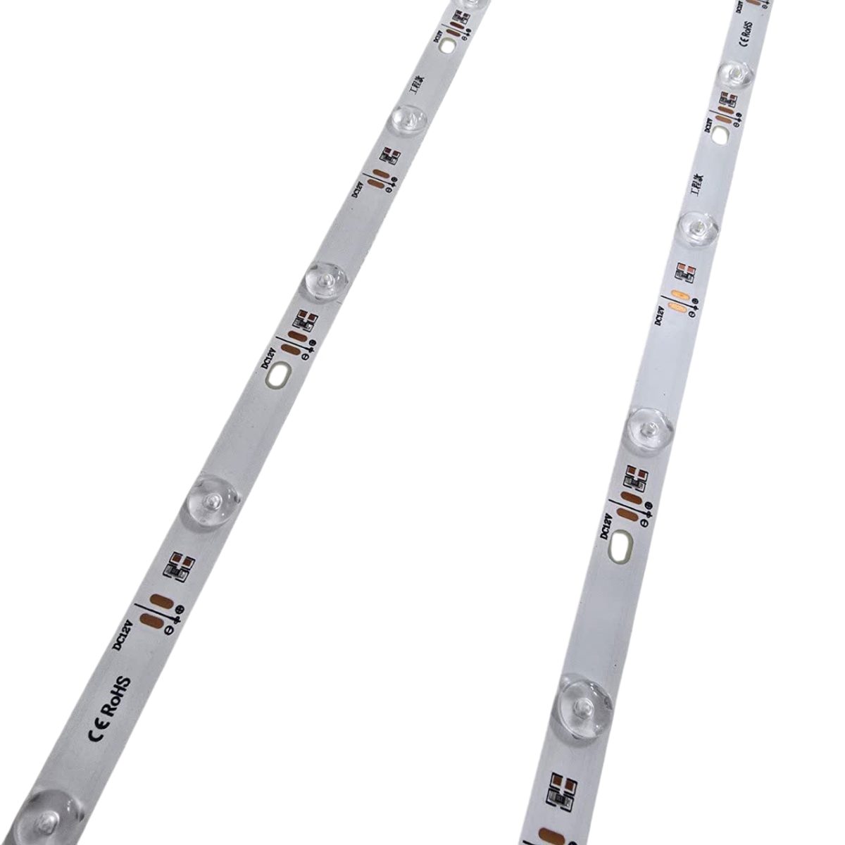 photo_2025-10-08_17-01-58